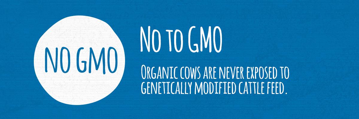 No to GMO graphic